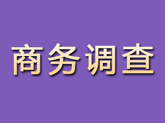 永靖商务调查